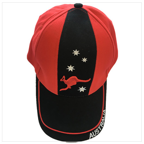 Customed baseball cap with embroidery logo