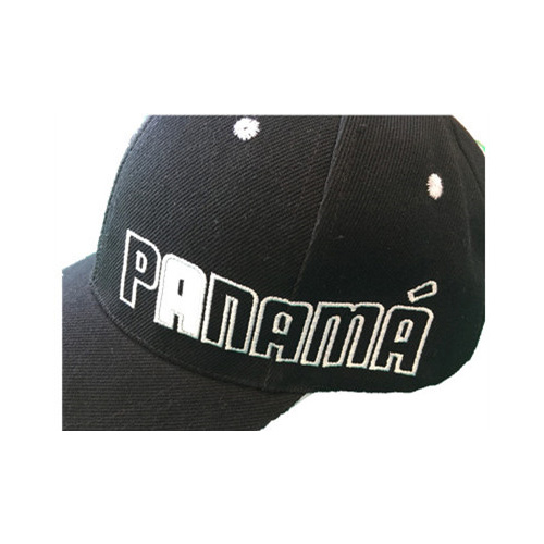 Good quality embrodiery logobaseball cap