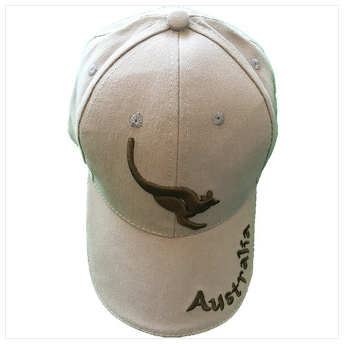 Customed baseball cap with embroidery logo