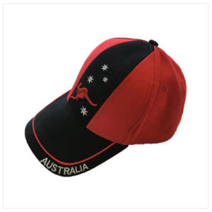 Customed-baseball-cap-with-embroidery-logo-300x300