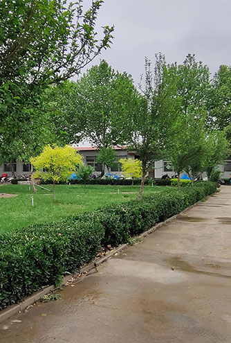 DM_20250828085526_001